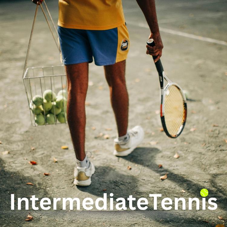 Intermediate Tennis Lessons in Naples – Flexible Scheduling & Free Equipment – by Racqueteers on TurtlesEgg Marketplace