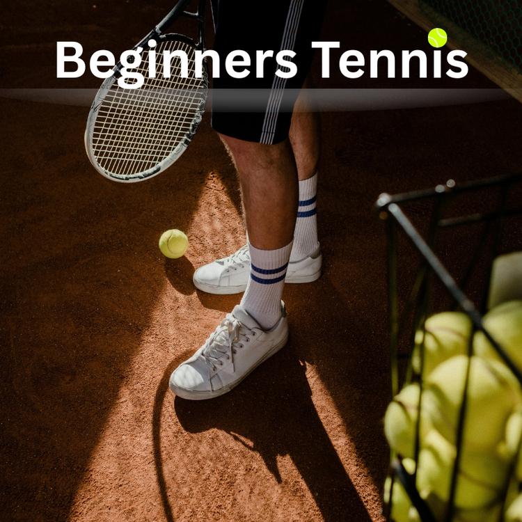 Beginner’s Tennis Lessons in Naples – Flexible Scheduling & Free Equipment – by Racqueteers on TurtlesEgg Marketplace