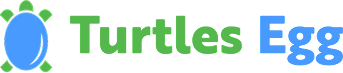 turtlesegg.com
